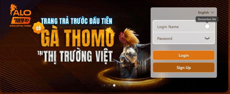 2 Bước Tạo Tài Khoản đá Gà Thomo Online Nhận Khuyến Mãi 2 Bước Tạo Tài Khoản đá Gà Thomo Online Nhận Khuyến Mãi