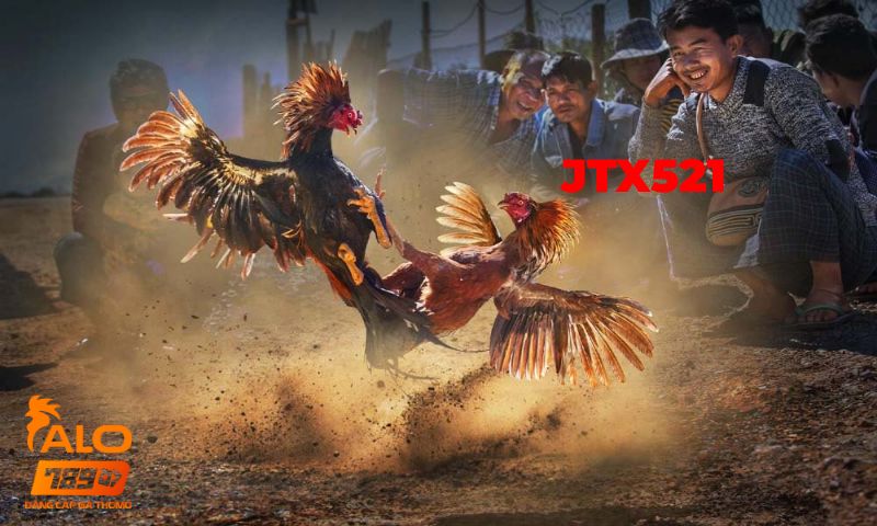 Link Vào Jtx521.com Mới Nhất Không Bị Chặn 2026 Link Vào Jtx521.com Mới Nhất Không Bị Chặn 2026
