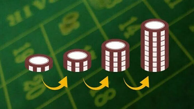 Link Truy Cập Ms8hubz Mới Nhất Không Bị Chặn 2026