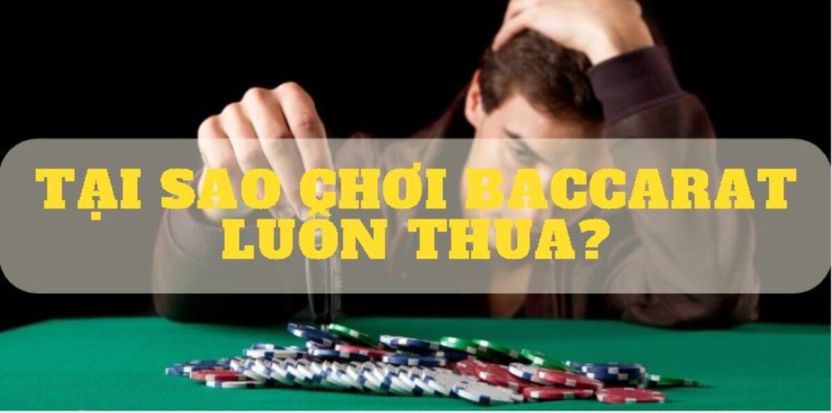 Link Vào 99995y.com Mới Nhất Không Bị Chặn 2026