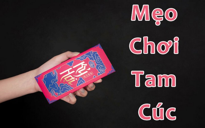 Bài Tam Cúc Là Gì Và Kinh Nghiệm Chơi Bài Giúp Thắng Lớn Bài Tam Cúc Là Gì Và Kinh Nghiệm Chơi Bài Giúp Thắng Lớn