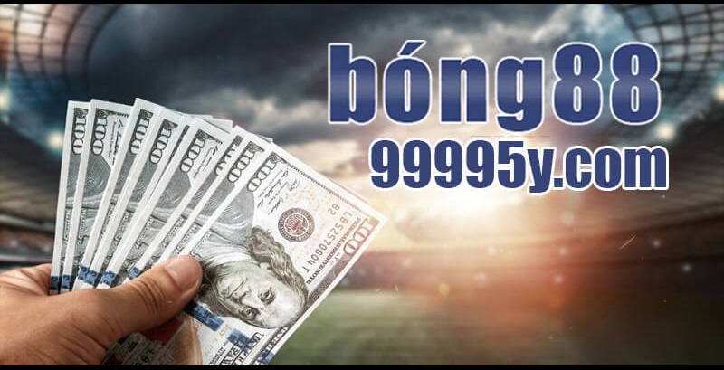 Link Vào 99995y.com Mới Nhất Không Bị Chặn 2026