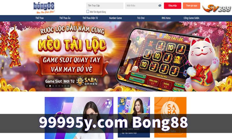 Link Vào 99995y.com Mới Nhất Không Bị Chặn 2026