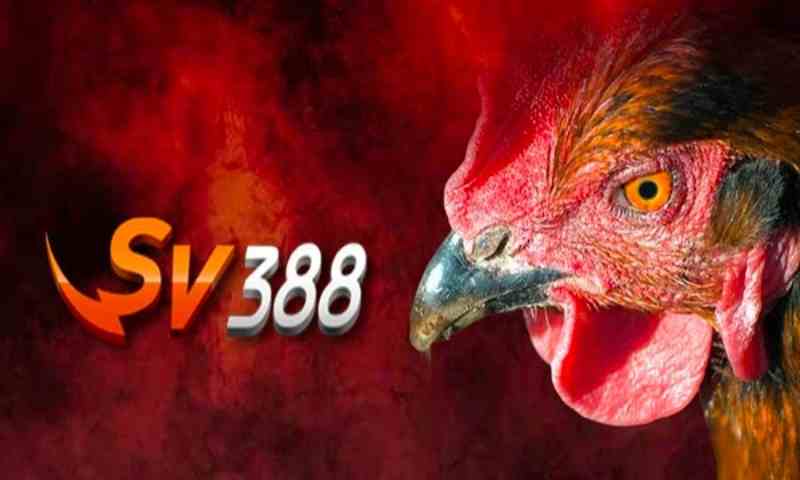 Link Vào Vnvs388.com Mới Nhất Không Bị Chặn 2026
