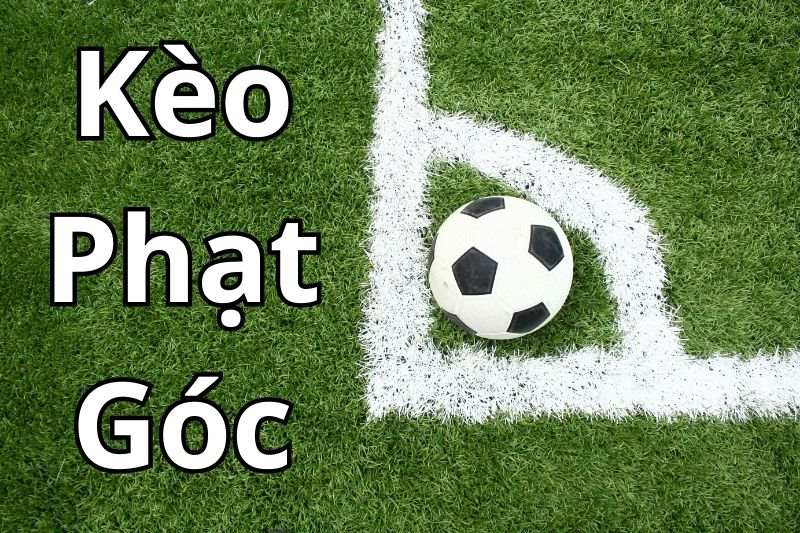 Link Truy Cập Ms8hubz Mới Nhất Không Bị Chặn 2026
