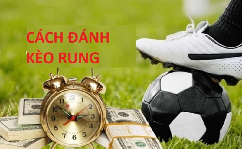 Kèo Rung Là Gì Và Bí Quyết đánh Kèo Rung ăn Chắc Nên Thử