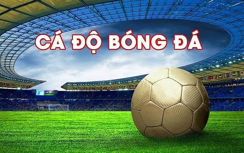 Kèo Tài Xỉu Là Gì? Cách đọc Kèo Tài Xỉu Hay Từ Chuyên Gia Kèo Tài Xỉu Là Gì? Cách đọc Kèo Tài Xỉu Hay Từ Chuyên Gia