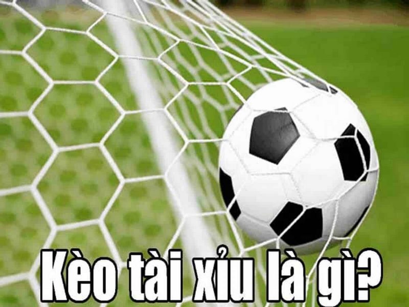 Kèo Tài Xỉu Là Gì? Cách đọc Kèo Tài Xỉu Hay Từ Chuyên Gia Kèo Tài Xỉu Là Gì? Cách đọc Kèo Tài Xỉu Hay Từ Chuyên Gia