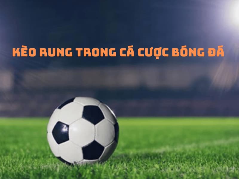 Kèo Rung Là Gì Và Bí Quyết đánh Kèo Rung ăn Chắc Nên Thử