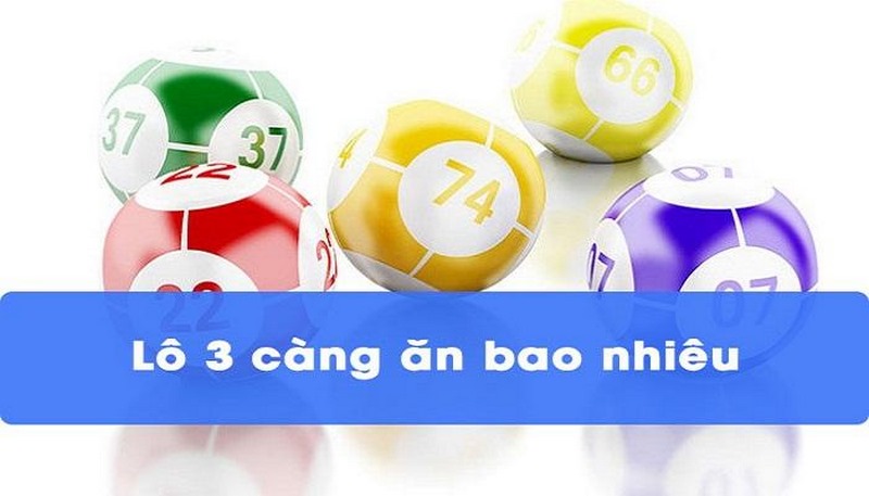 Link Truy Cập Ms8hubz Mới Nhất Không Bị Chặn 2026