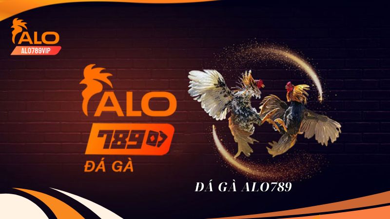 Link Vào SFV288 Mới Nhất đảm Bảo Không Bị Chặn 2026