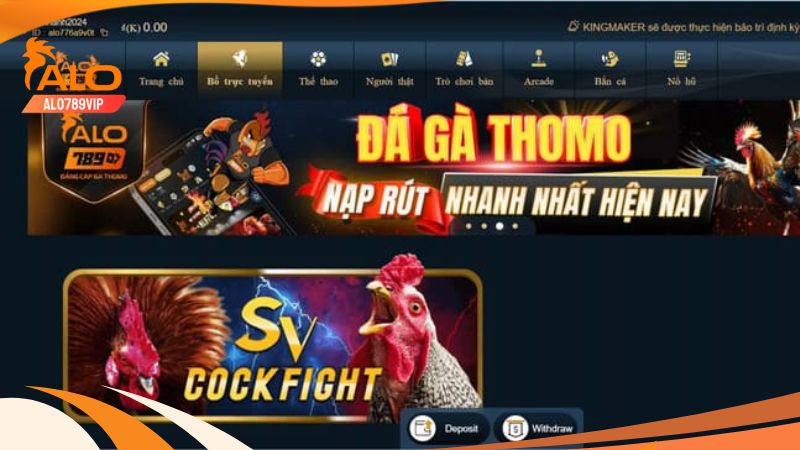Đá Gà CPC1 - Sảnh Đá Gà Mang Đến Những Trận Đấu Siêu Hấp Dẫn