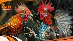 Blog Đá Gà - ALO789.VIP